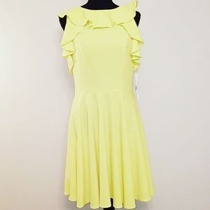 NWT Nicole Miller Dress